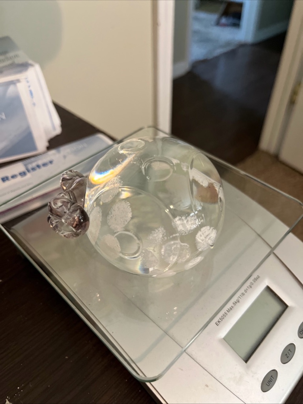 Clear Glass Bubble Paperweight